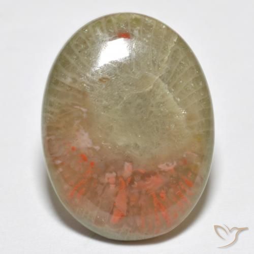 10.63ct Natural Multicolor Coral, Ovalada, Translúcido
