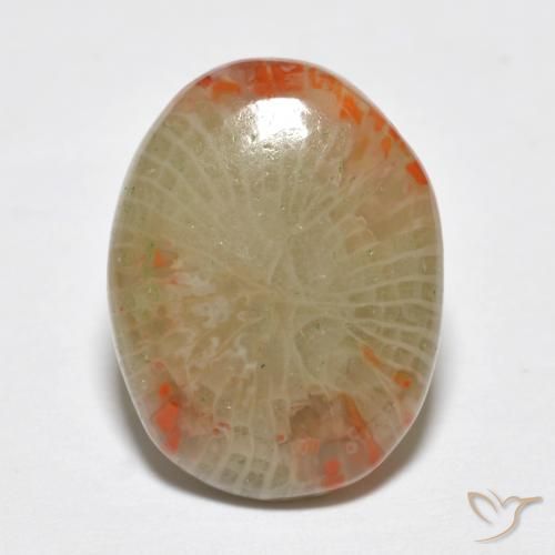 5.78ct Natural Multicolor Coral, Ovalada, Translúcido