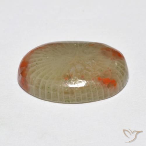 Coral Multicolor natural de 5.78 ct, Ovalada, Translúcido