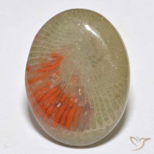 10.77ct Natural Multicolor Coral, Ovalada, Translúcido