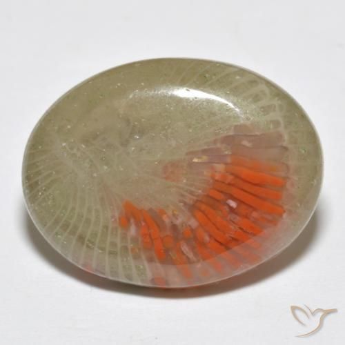 Coral Multicolor natural de 10.77 ct, Ovalada, Translúcido