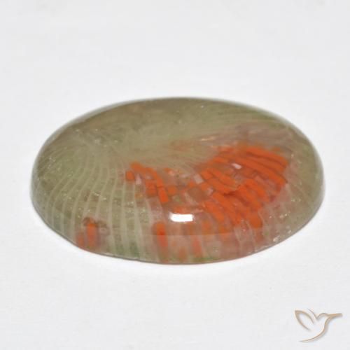 Coral Multicolor natural de 10.77 ct, Ovalada, Translúcido