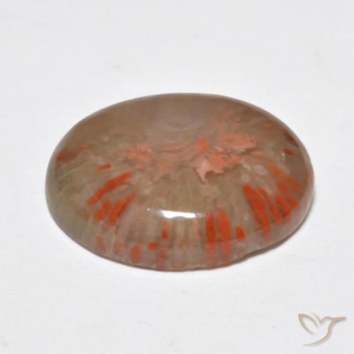 Coral Multicolor natural de 9.15 ct, Ovalada, Translúcido