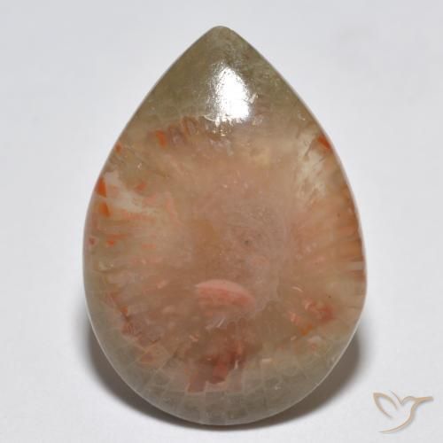 6.81ct Natural Multicolor Coral, En forma de pera, Translúcido