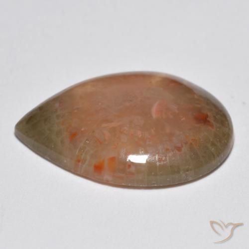 Coral Multicolor natural de 6.81 ct, En forma de pera, Translúcido