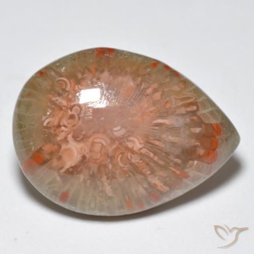 Coral Multicolor natural de 11.49 ct, En forma de pera, Opaco