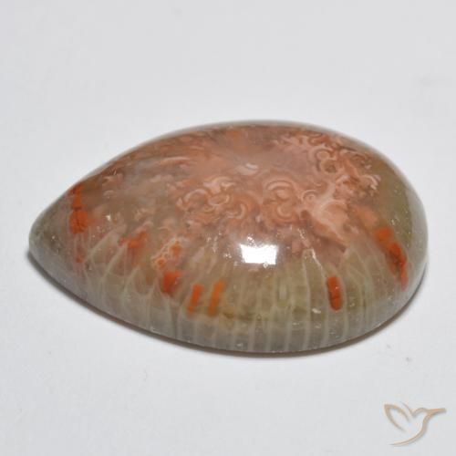 Coral Multicolor natural de 11.49 ct, En forma de pera, Opaco
