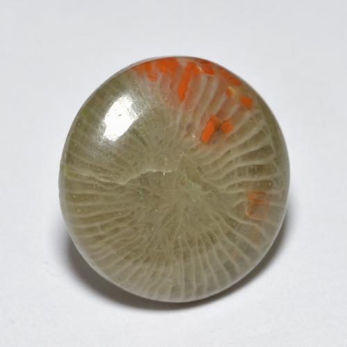 Coral multicolor natural de 5,10 ct, corte redondo, translúcido