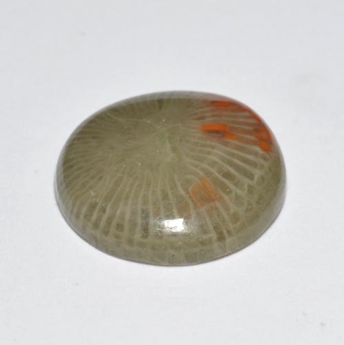 Coral multicolor natural de 5,10 ct, corte redondo, translúcido