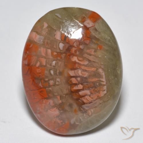 10.87ct Natural Multicolor Coral, Ovalada, Translúcido, Photo A