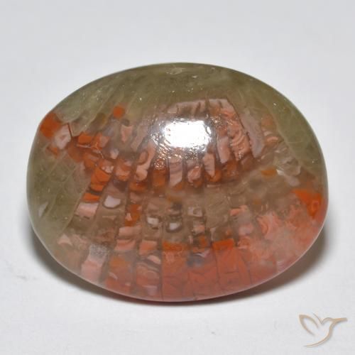 Coral Multicolor natural de 10.87 ct, Ovalada, Translúcido