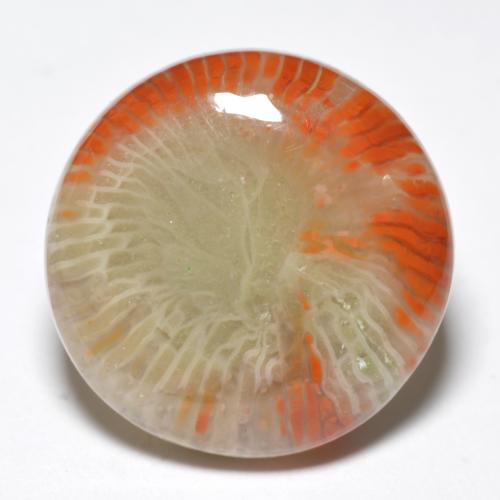 Coral multicolor natural de 10,03 ct, corte redondo, opaco