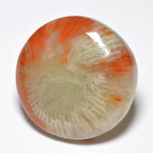 Coral multicolor natural de 10,03 ct, corte redondo, opaco