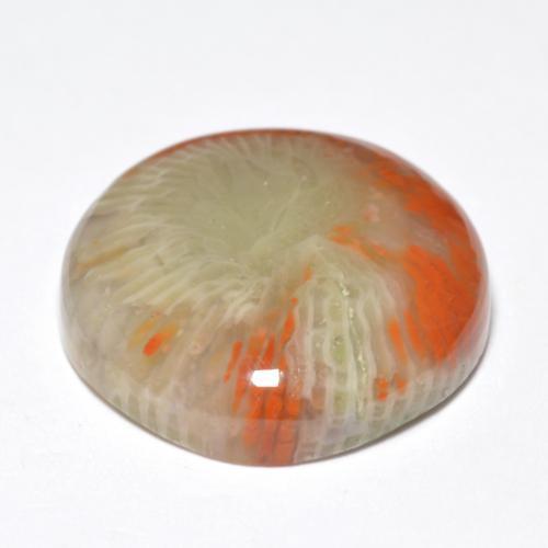 Coral multicolor natural de 10,03 ct, corte redondo, opaco