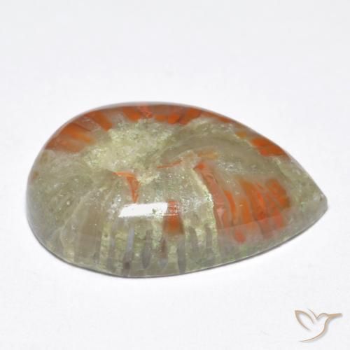 Coral Multicolor natural de 6.76 ct, En forma de pera, Opaco