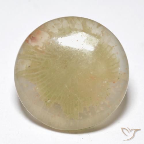 10.55ct Natural Multicolor Coral, Redondo, Translúcido
