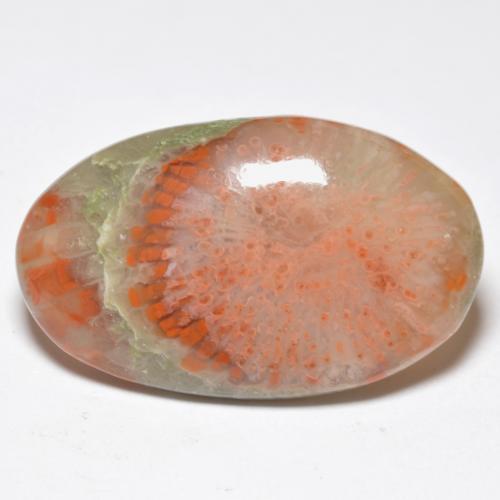 Coral multicolor natural de 11,38 ct, corte óvalo, translúcido