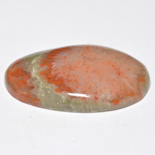 Coral multicolor natural de 11,38 ct, corte óvalo, translúcido