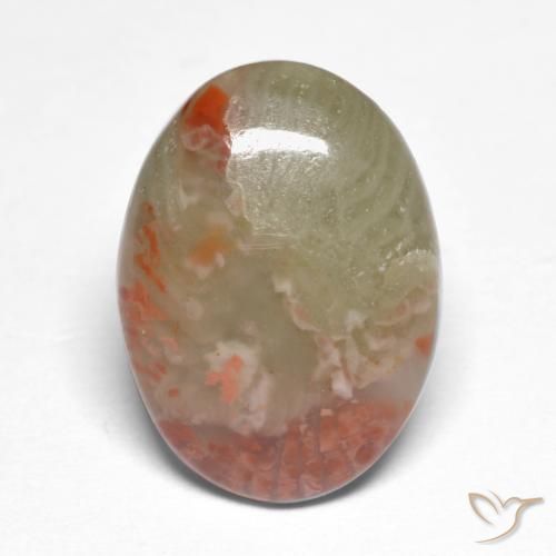 5.88ct Natural Multicolor Coral, Ovalada, Translúcido