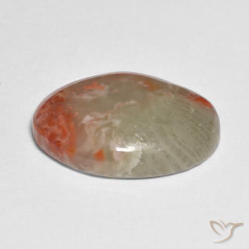 Coral Multicolor natural de 5.88 ct, Ovalada, Translúcido