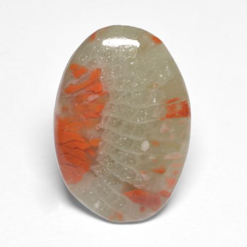 Coral multicolor natural de 5,03 ct, corte óvalo, translúcido