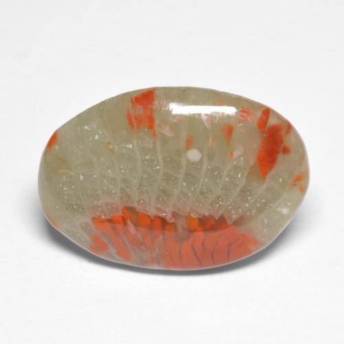 Coral multicolor natural de 5,03 ct, corte óvalo, translúcido