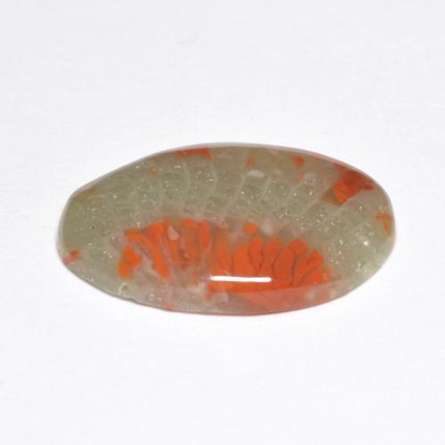 Coral multicolor natural de 5,03 ct, corte óvalo, translúcido