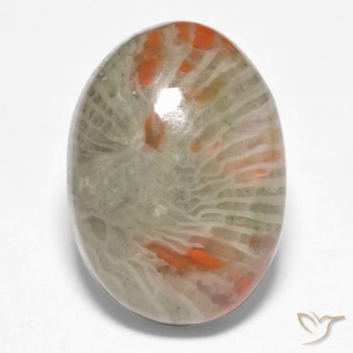 6.74ct Natural Multicolor Coral, Ovalada, Opaco
