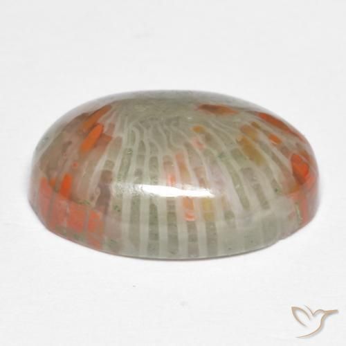 Coral Multicolor natural de 6.74 ct, Ovalada, Opaco