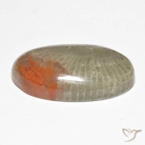 Coral Multicolor natural de 8.25 ct, Ovalada, Translúcido
