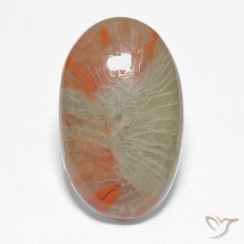 5.68ct Natural Multicolor Coral, Ovalada, Translúcido