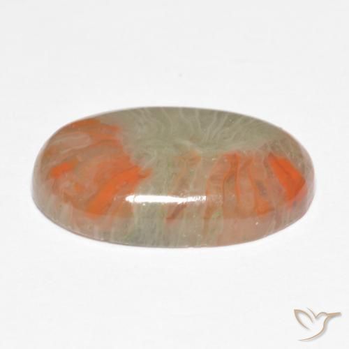Coral Multicolor natural de 5.68 ct, Ovalada, Translúcido