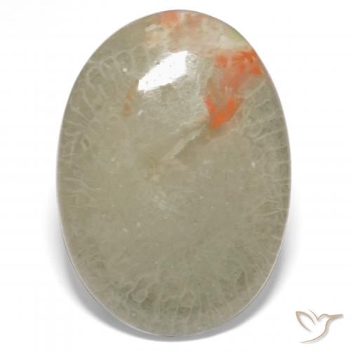 15.23ct Natural Multicolor Coral, Ovalada, Translúcido