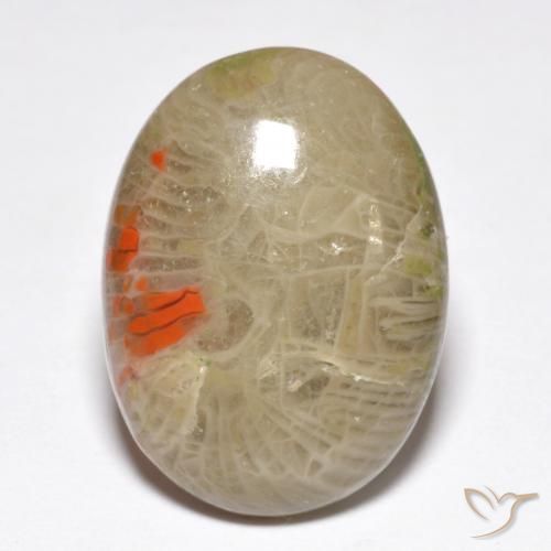 10.40ct Natural Multicolor Coral, Ovalada, Opaco