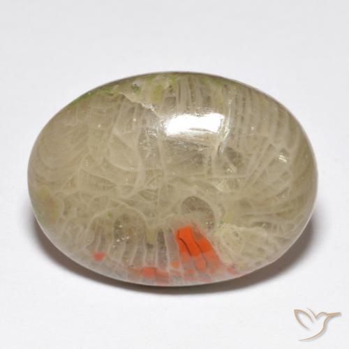 Coral Multicolor natural de 10.40 ct, Ovalada, Opaco