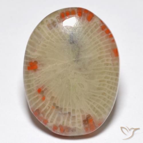14.86ct Natural Multicolor Coral, Ovalada, Translúcido