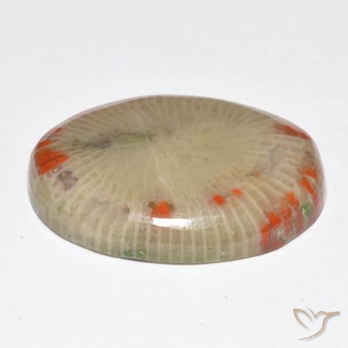 Coral Multicolor natural de 14.86 ct, Ovalada, Translúcido