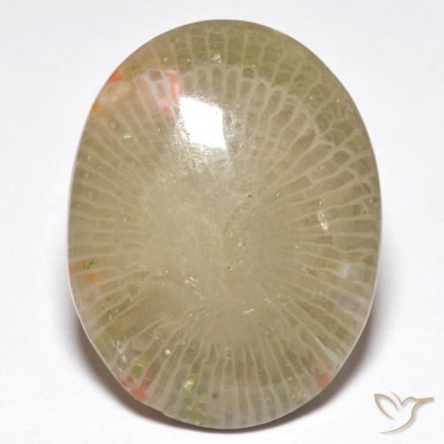13.91ct Natural Multicolor Coral, Ovalada, Translúcido