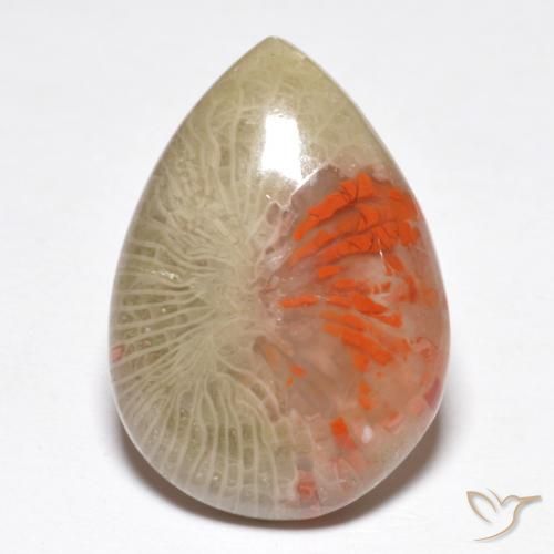 10.46ct Natural Multicolor Coral, En forma de pera, Translúcido