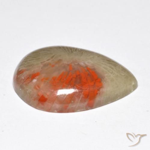 Coral Multicolor natural de 10.46 ct, En forma de pera, Translúcido