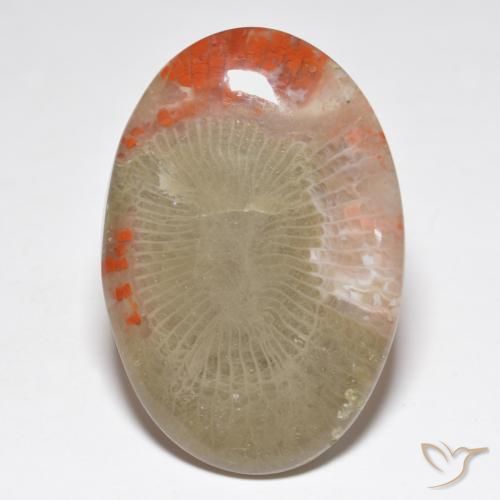 31.32ct Natural Multicolor Coral, Ovalada, Translúcido, Photo A