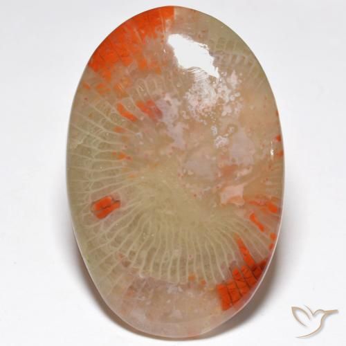 27.91ct Natural Multicolor Coral, Ovalada, Translúcido