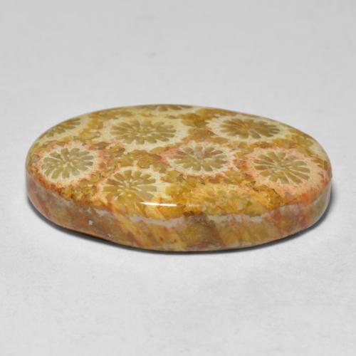 Coral multicolor natural de 15,10 ct, corte óvalo, opaco