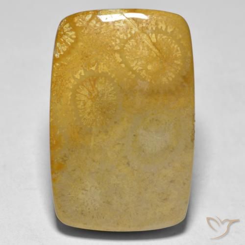 17.79ct Natural Multicolor Coral, Forma Cojín, Opaco