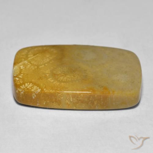 Coral Multicolor natural de 17.79 ct, Forma Cojín, Opaco