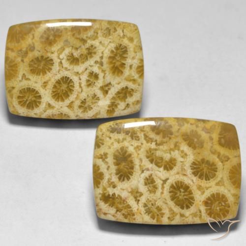 30.59ctw Natural Multicolor Coral, Forma Cojín, Opaco
