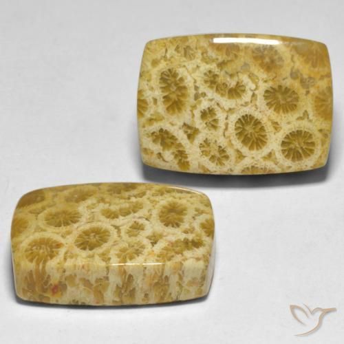 Gemas de Coral Multicolor natural de 30.59 ct, Forma Cojín, Opaco