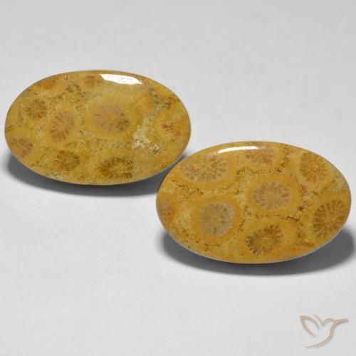 27.44ctw Natural Multicolor Coral, Ovalada, Opaco