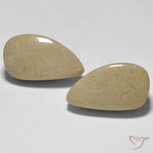 16.75ctw Natural Multicolor Coral, Elegante, Opaco
