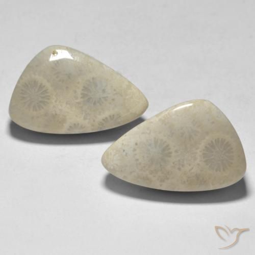 21.04ctw Natural Multicolor Coral, Elegante, Opaco